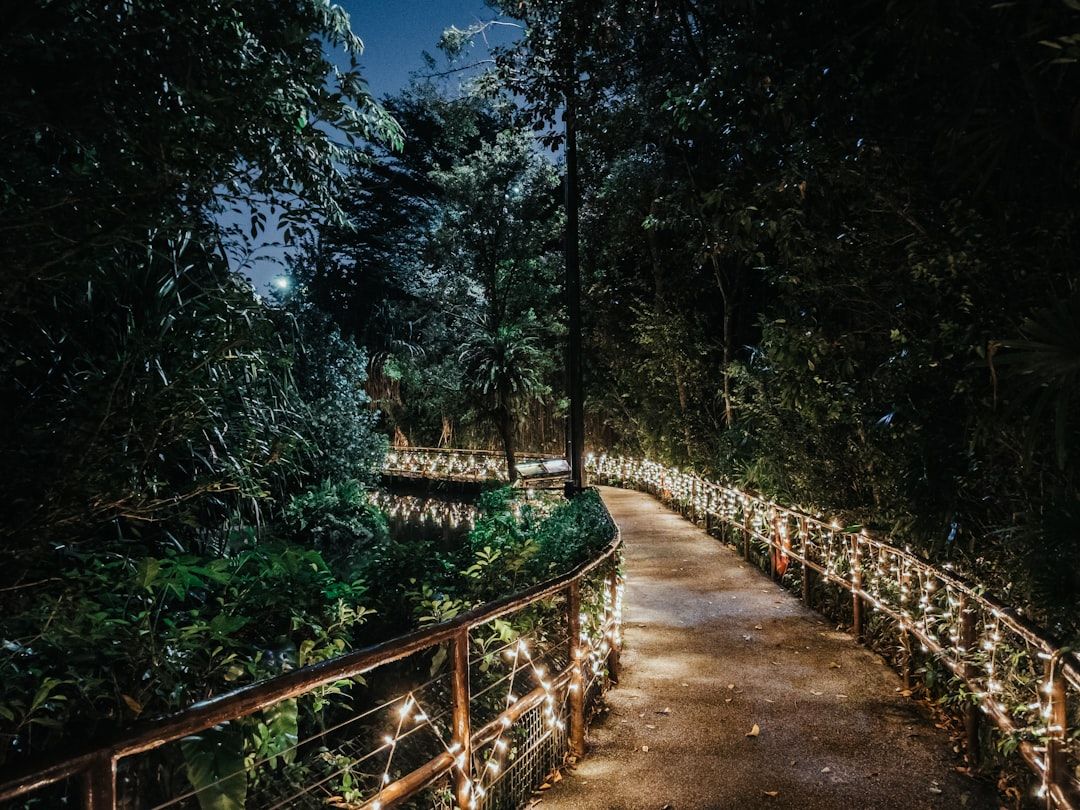singapore night safari entrance